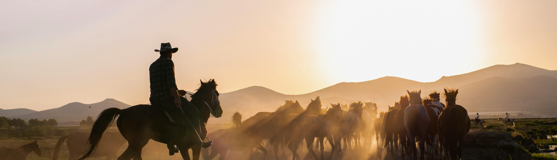 Books Like Lonesome Dove | The Book Box