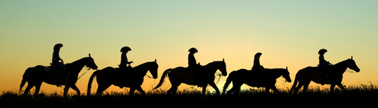 Books Like Blood Meridian | The Book Box
