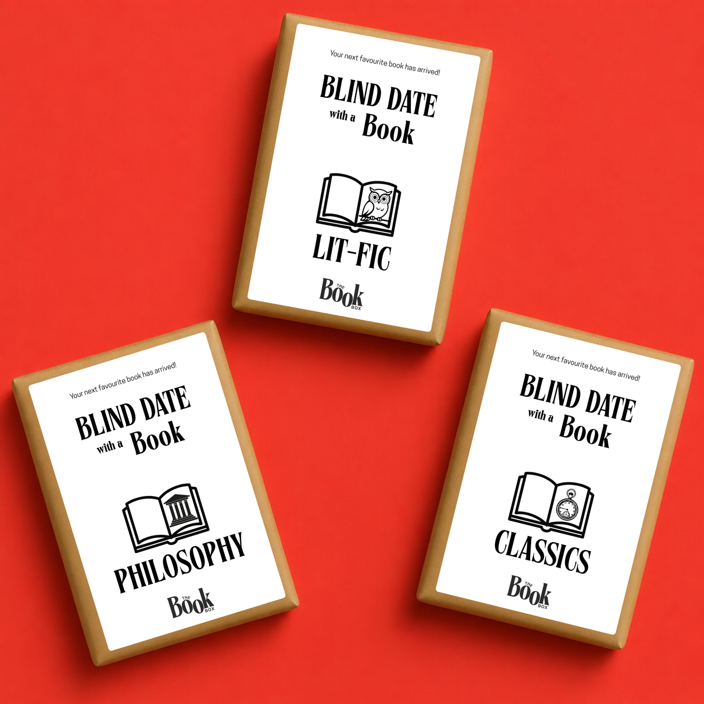 Contemporary Literary Fiction - Blind Date With A Book