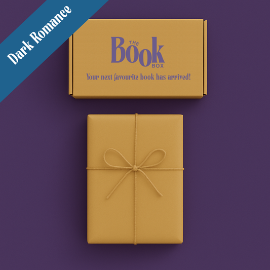 Blind date with a book - Dark Romance edition. Hand-wrapped book with mysterious and steamy themes.